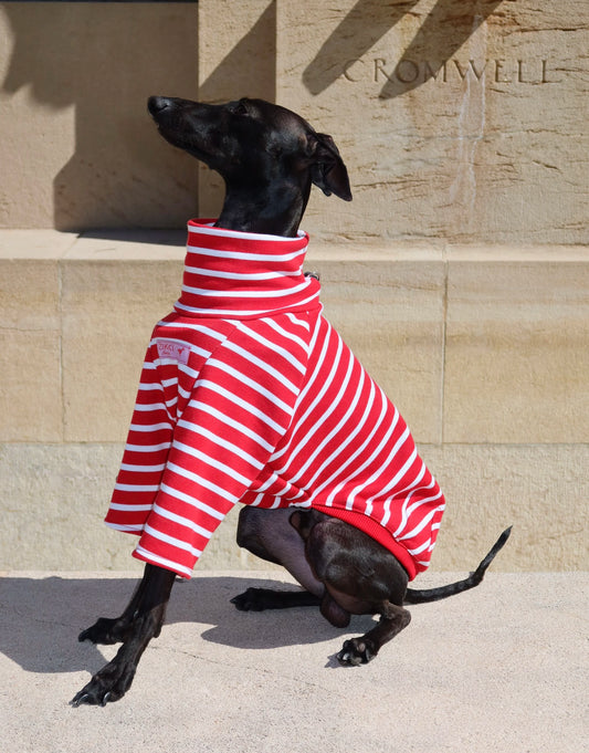Dolce Bandito leisure shirt – Cherry Berry
