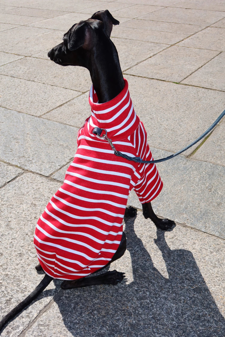 Dolce Bandito leisure shirt – Cherry Berry