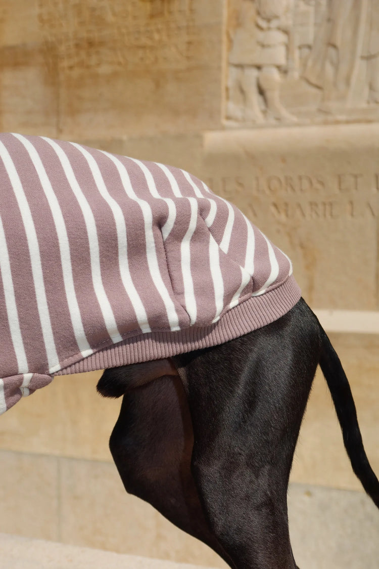 Dolce Bandito leisure shirt – Cappuccino