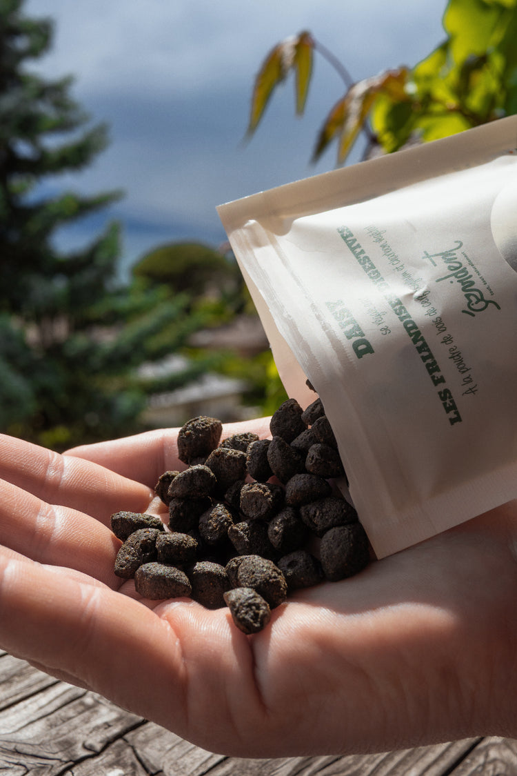 Daisy – Digestive Treats For Dogs