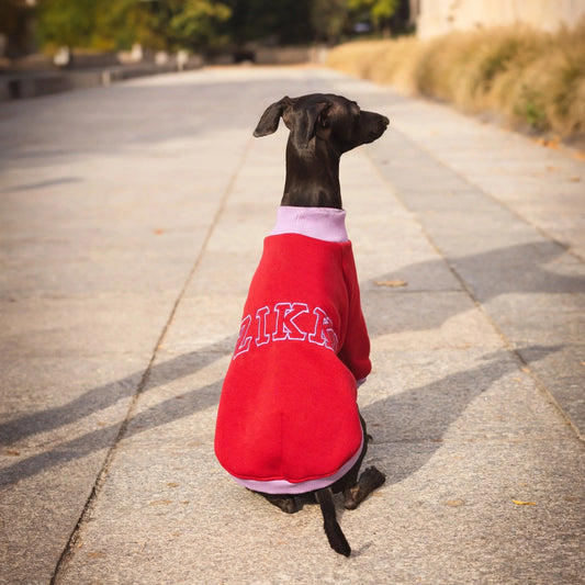 Signature Sweatshirt – Burgundy Velvet & Lilac Bloom