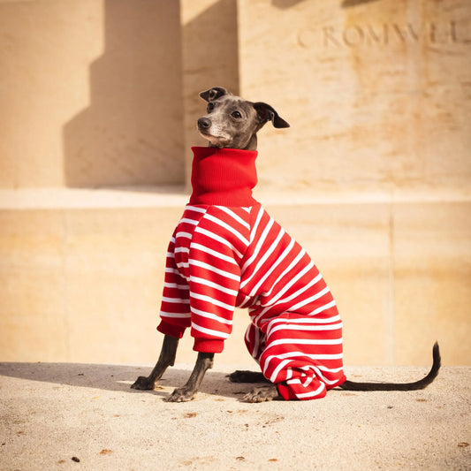 Signature Onesie – Cherry Stripe