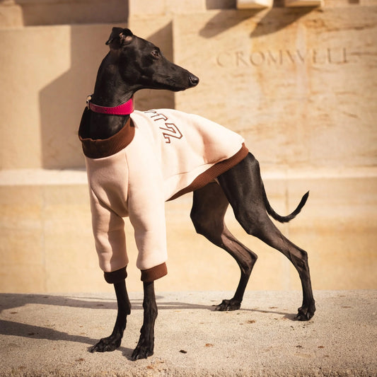 Signature Sweatshirt – Sand Beige & Cocoa Brown