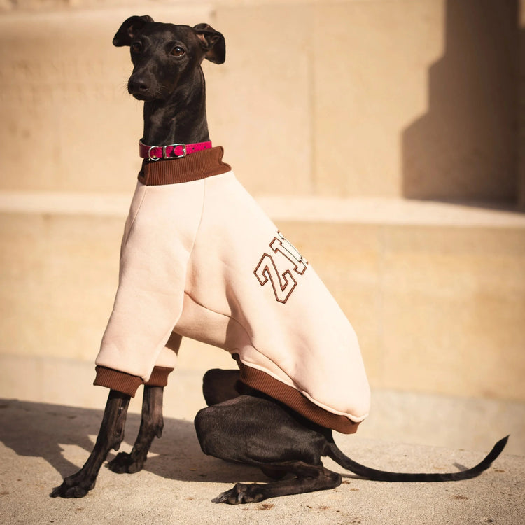 Signature Sweatshirt – Sand Beige & Cocoa Brown