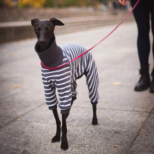 Signature Onesie – Graphite