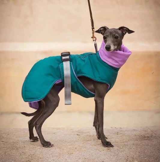 Die freche Casual-Weste – Evergreen