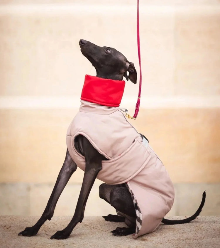 Die freche Casual-Weste – Kaschmirfutter