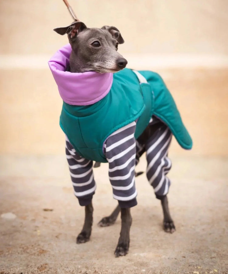 Die freche Casual-Weste – Evergreen