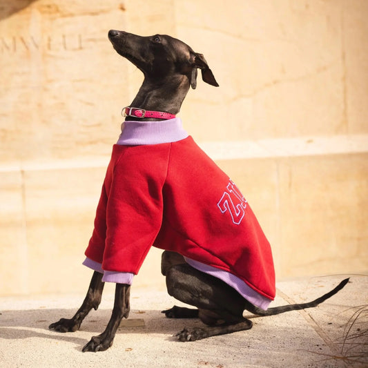 Signature Sweatshirt – Burgundy Velvet & Lilac Bloom