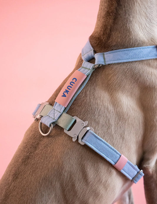 Air Harness – Candy Floss