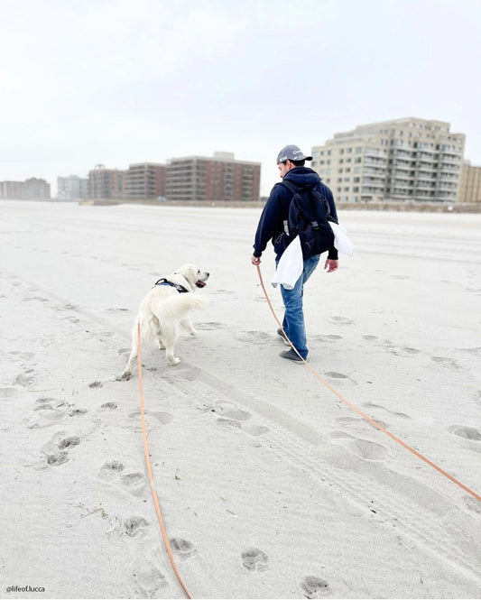 Guinzaglio per cani impermeabile da 9 m – Marrone Chai