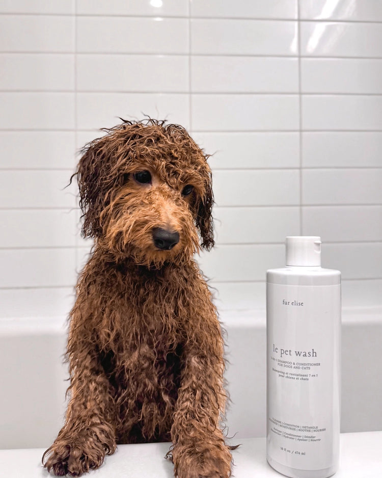 Le Pet Wash