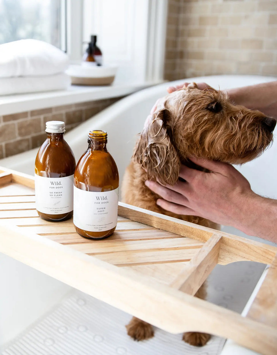 So Fresh So Clean - Organic Dog Shampoo - Kitsune & Jo