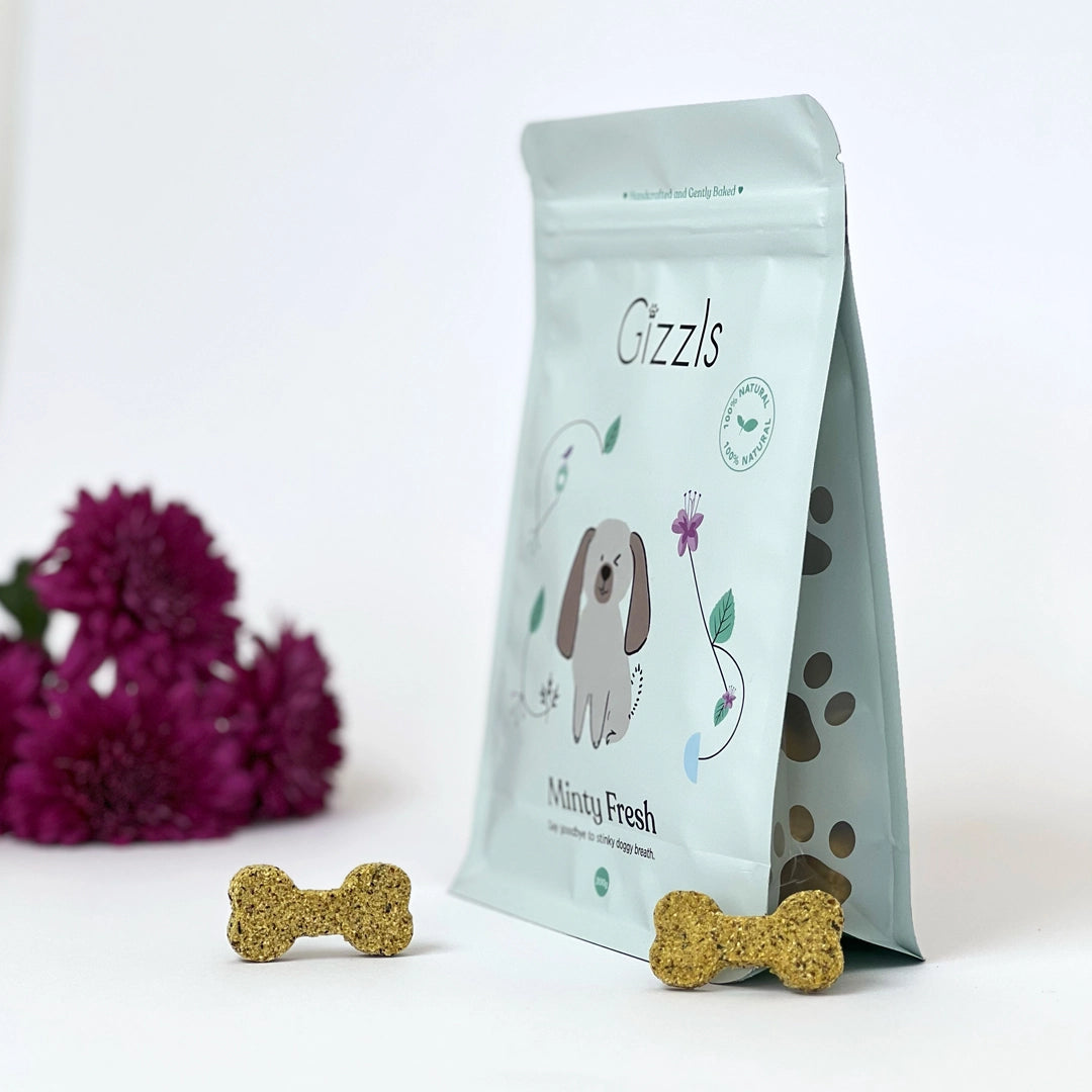 Gizzls Minty Fresh pet product packaging with two gold dog treats on a white background.
