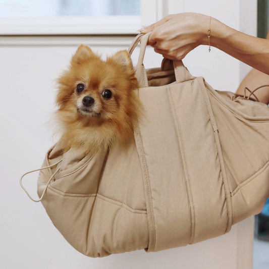 Olla – Petite Dog Carrier