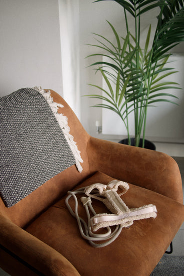 Dog beige Harness and handfree leash from Furlou on a brown sofa with a plaid.