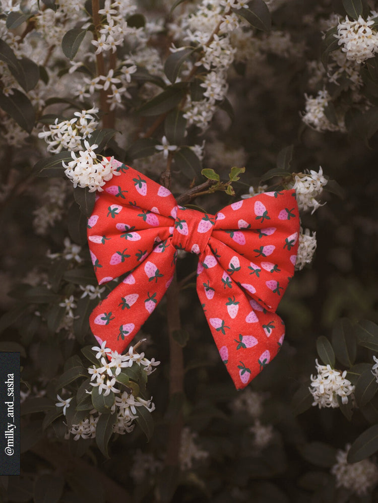 Berry Sweet Lady Dog Bow