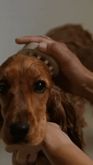 Shower Brush - Kitsune & Jo