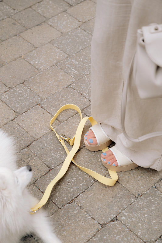 Person wearing sandals standing  on dog leash on a paved ground next to a dog.