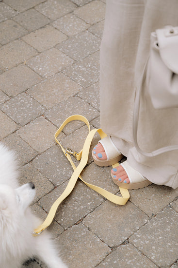 Person wearing sandals standing  on dog leash on a paved ground next to a dog.