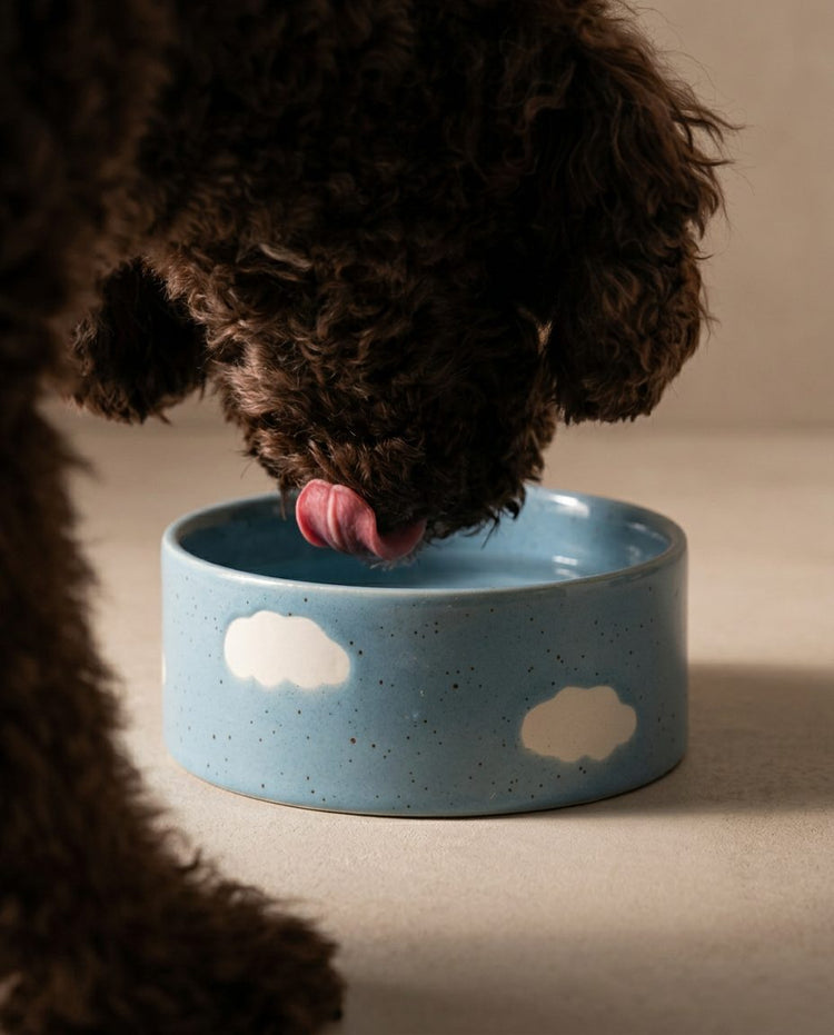 Cloud Pet Bowl Set