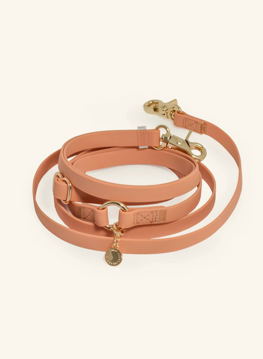 Laisse mains libres convertible 4 en 1 – Chai