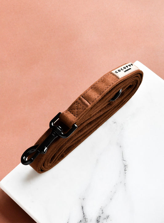 Laisse Aviator