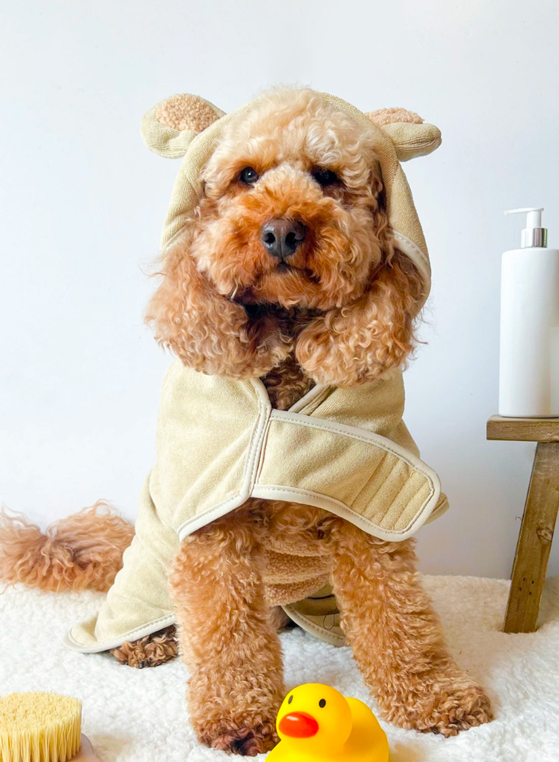 Teddy Drying Robe - Dog bathrobe | Kitsune & Jo – Kitsune and Jo SNC