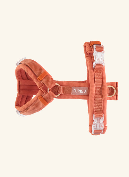 Comfort Harness – Terracotta