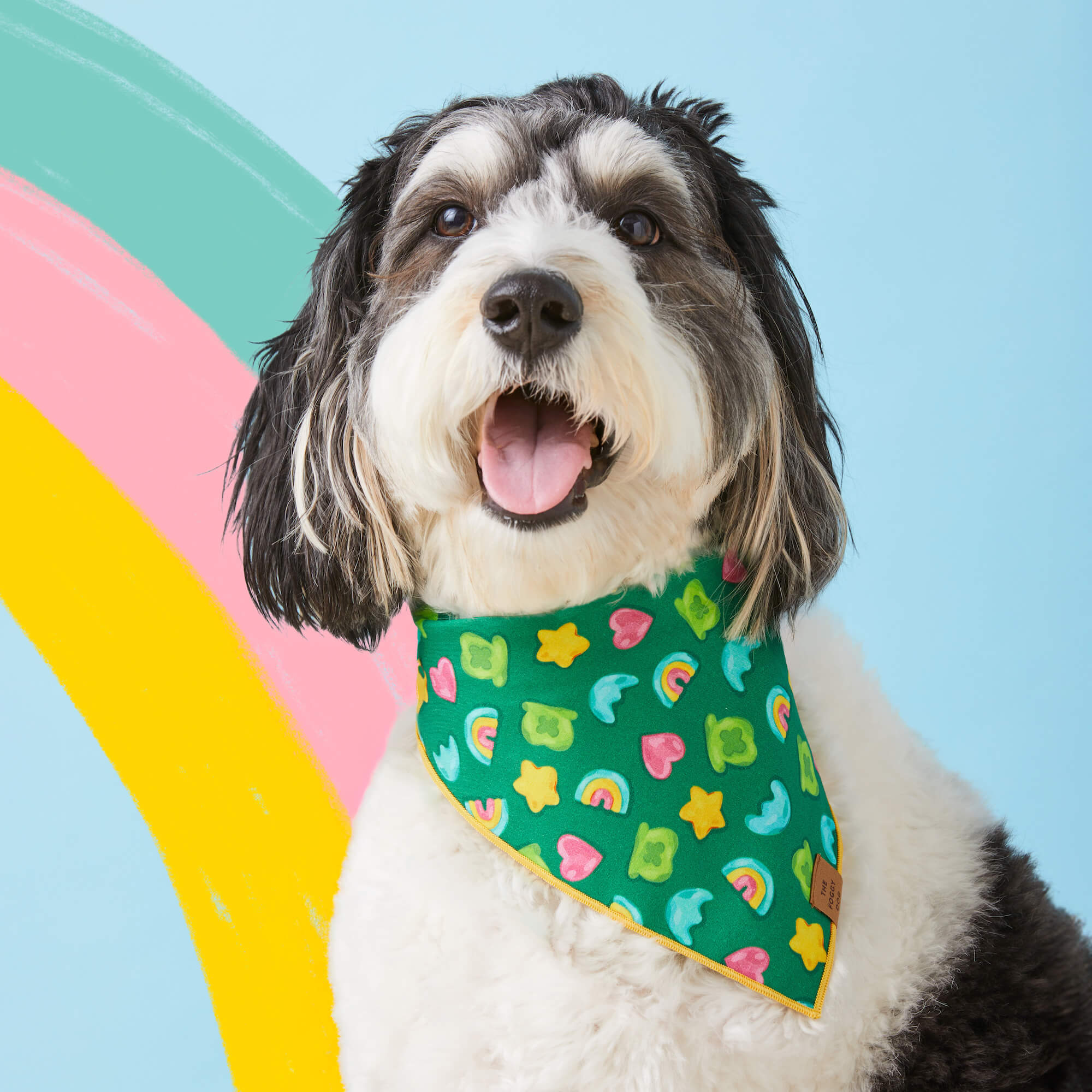 Foulard per Cani di San Patrizio Incantato