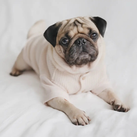 Waffle knit tee - Kitsune & Jo