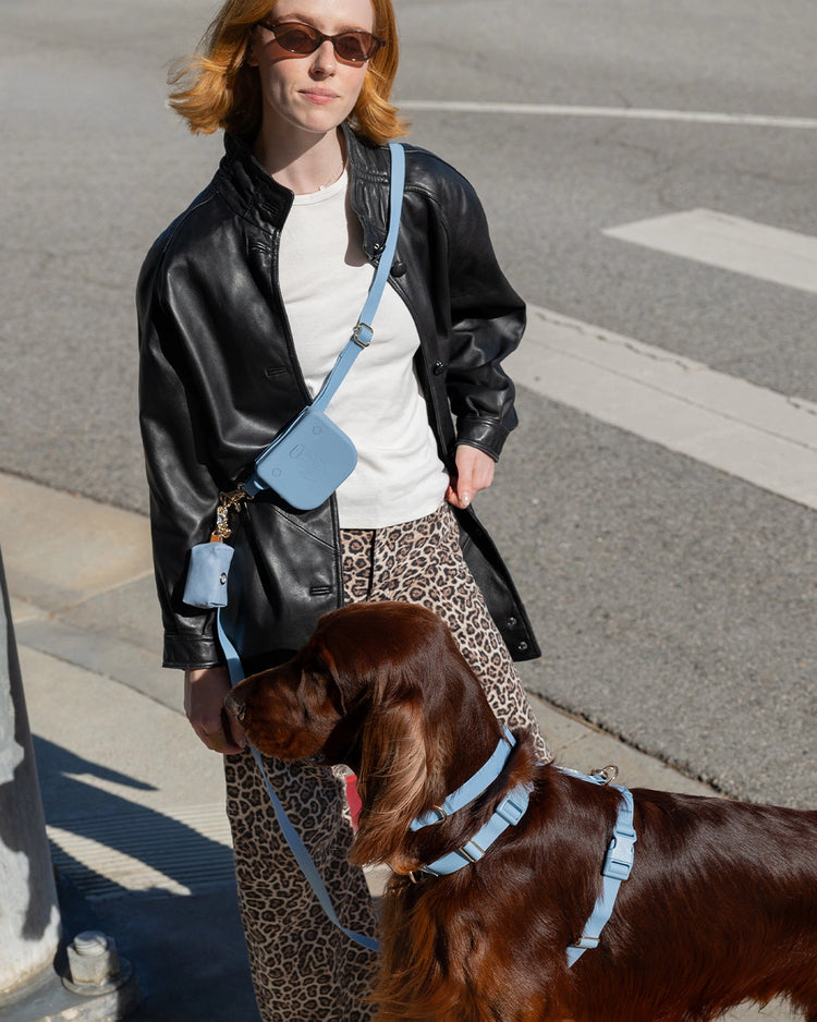 Malibu Blue Waterproof Dog Collar