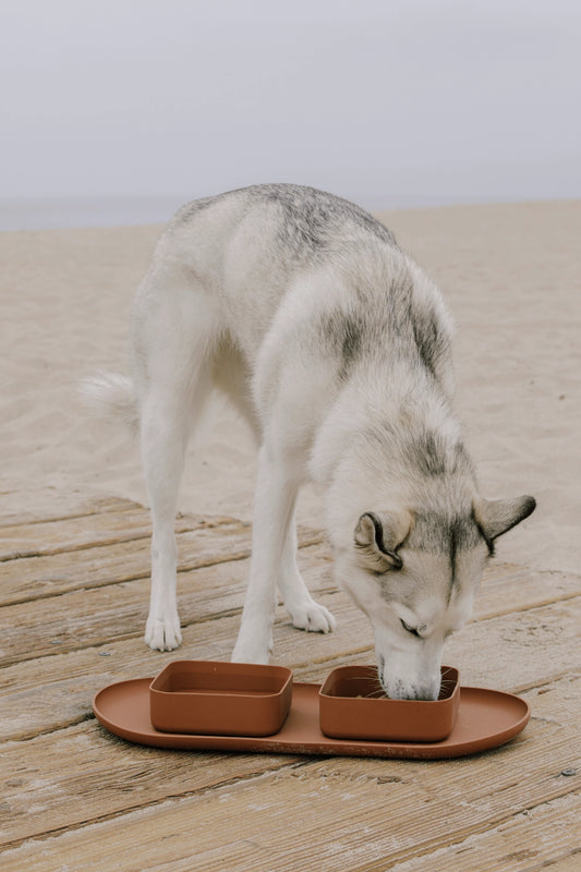 Square Bowls & Mat Set