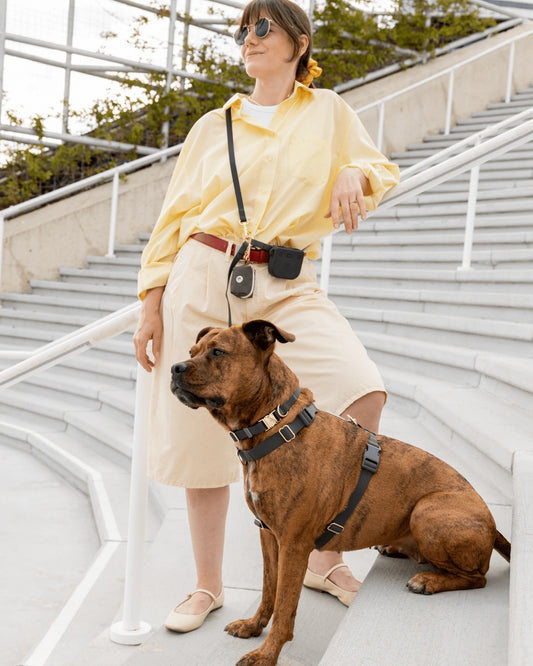 Ember Snap Dog Treat Pouch