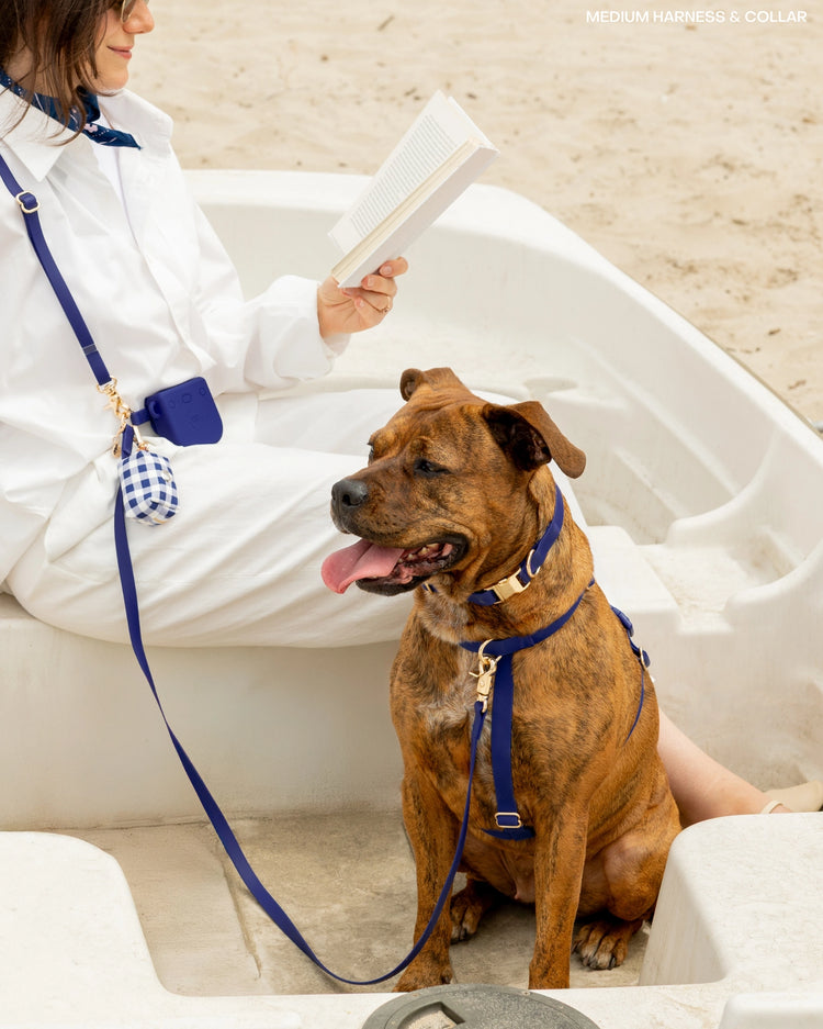 Cloud Lite Dog Harness – Signature Navy