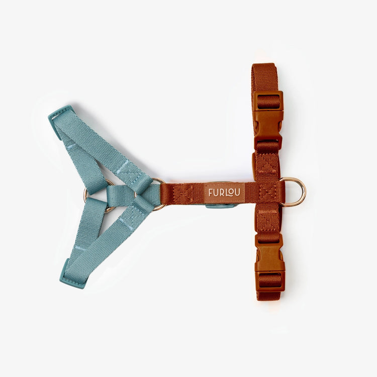Blue and Clay Harness