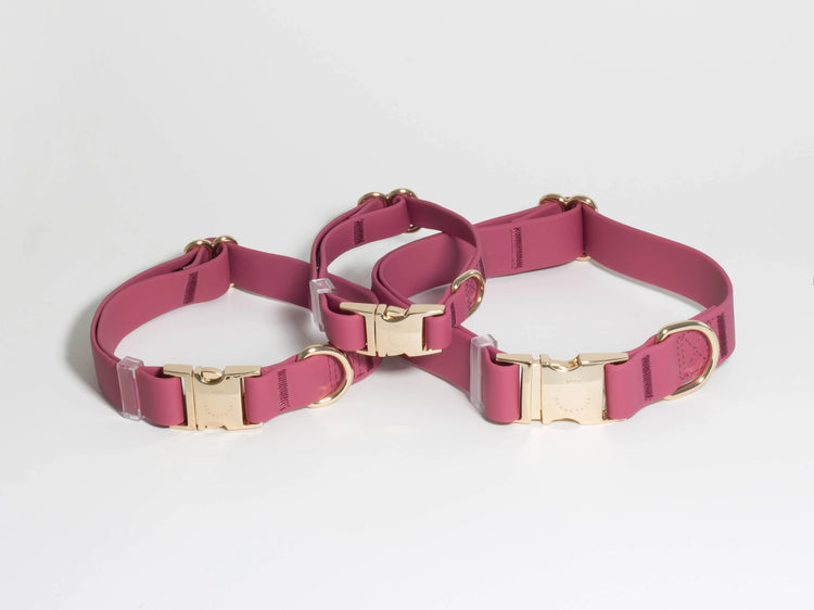 Mulberry Waterproof Dog Collar