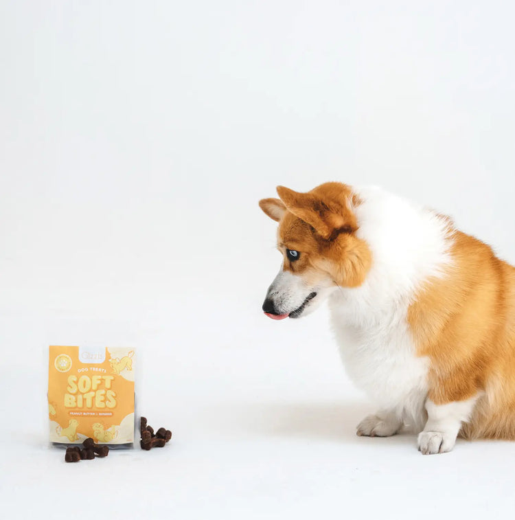 Peanut Butter & Banana Chewy Dog Treats - Kitsune & Jo