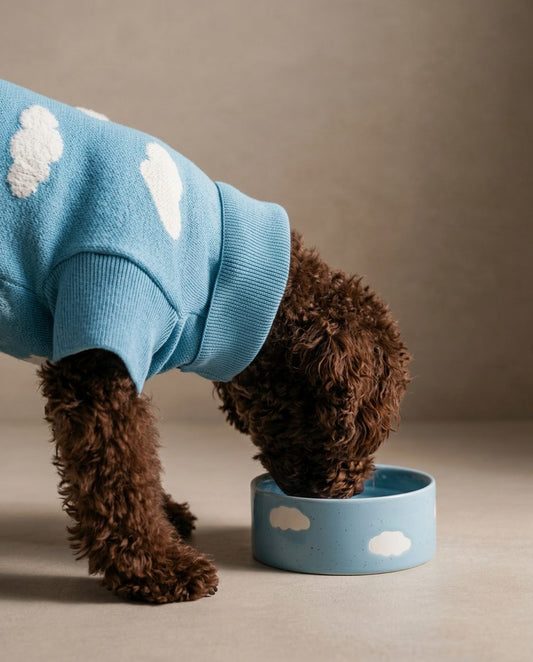 Cloud Pet Bowl Set