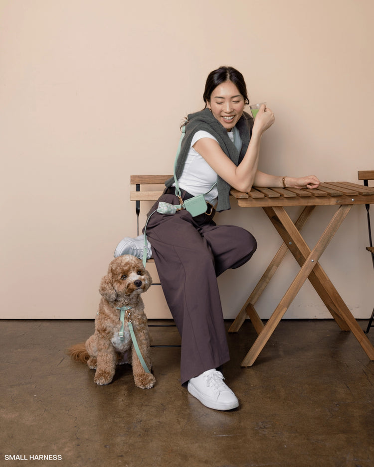 Guinzaglio per cani convertibile 4 in 1 a mani libere - Pistacchio