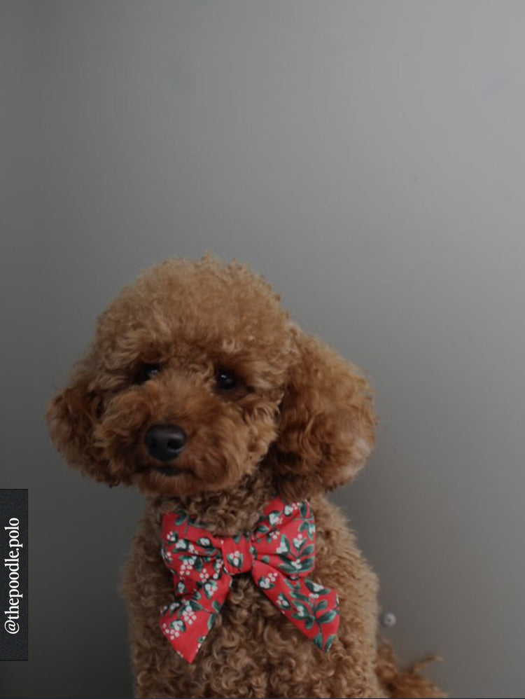 Mistletoe Lady Dog Bow