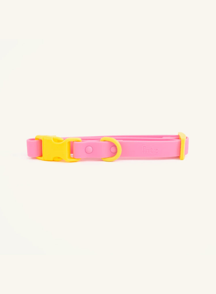 The Fritz Collar – Pink & Yellow - Kitsune & Jo