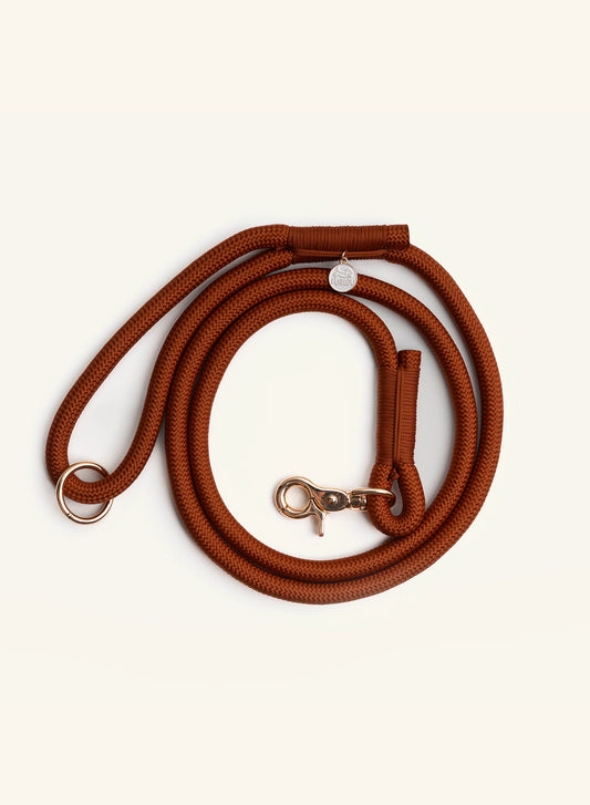 Brown dog leash with brass clasp on a beige background