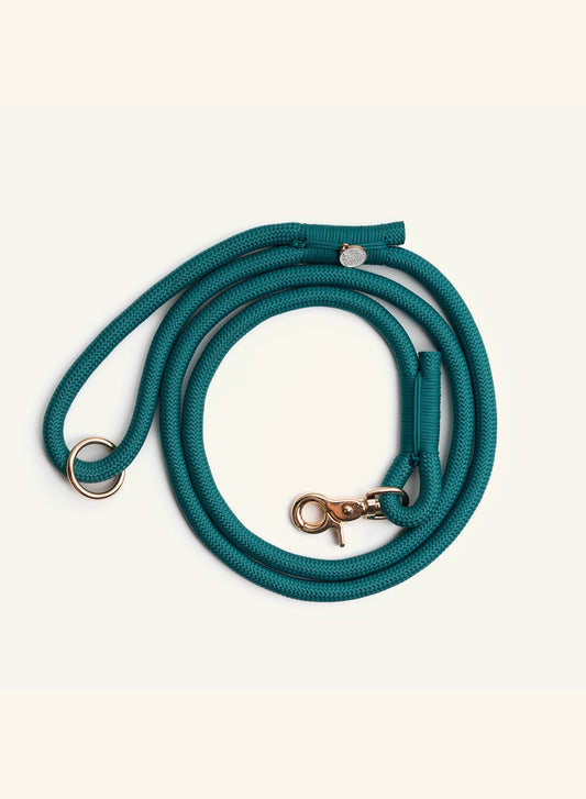 Teal dog leash with metallic gear on a white background