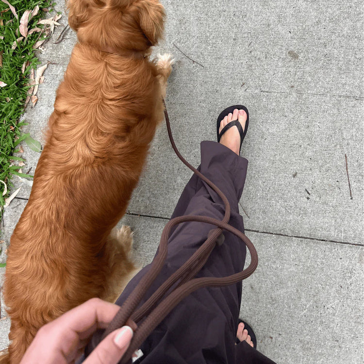 Hands-Free Lead – Cocoa