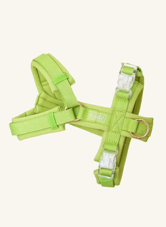 Harnais – Vert Lime