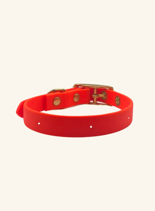 Pink dog collar with gold hardware on a white background