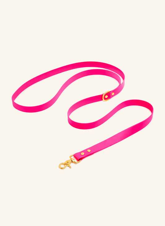 Pink dog leash with a gold clasp on a white background