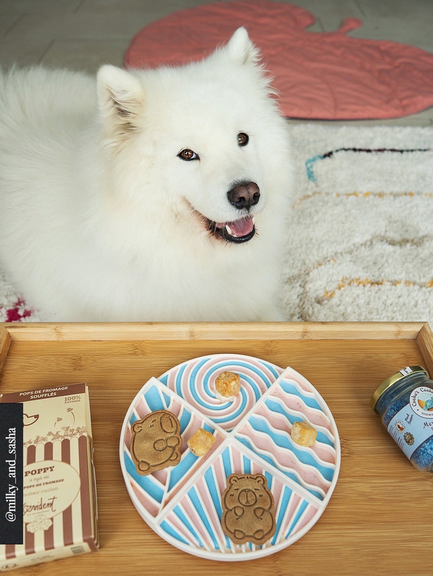 White dog sitting behind a wooden tray with a lick mat, Poppy cheese box and Murmaid treats jar.