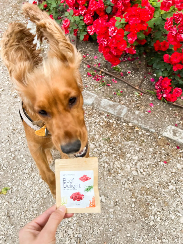 Beef Delight Organic Baked Dog Treats